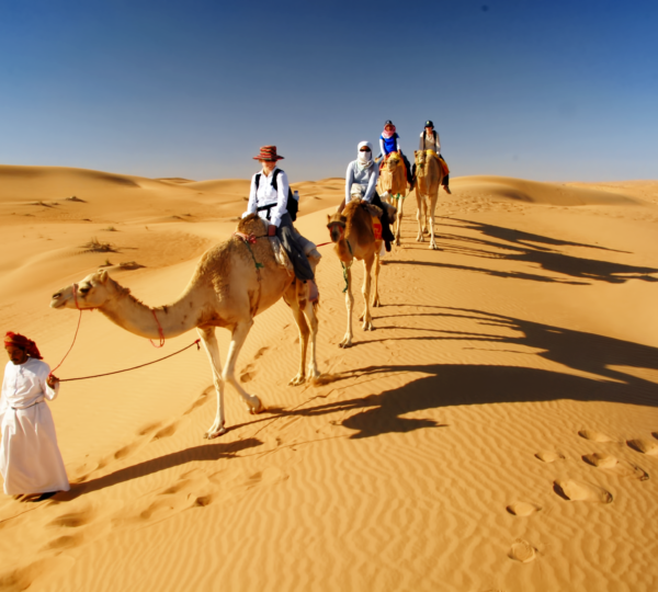 5 Star Desert Safari Dubai