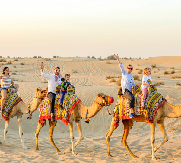 Dubai Desert Safari with Buggy Ride 