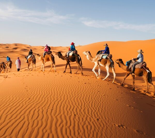 Safari Desert Tour Dubai