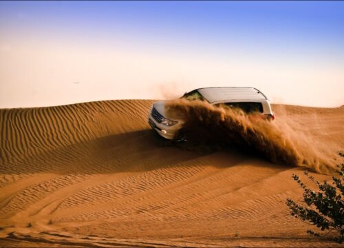 Best Safari Desert Tour Dubai 2024